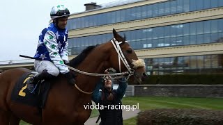 Gon VIII  9112024  Baden Baden Bush Brave  Baia Mare [upl. by Jillie926]