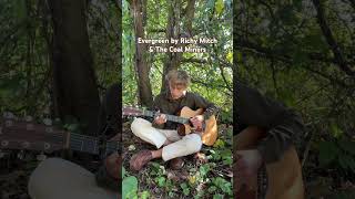 Evergreen by Richy Mitch amp The Coal Miners evergreen guitar richymitchandthecoalminers [upl. by Sprung327]