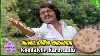 Oru Thalai Ragam Movie Songs  Koodaiyile Karuvaadu Video Song  Shankar  Roopa  T Rajendar [upl. by Latrina]