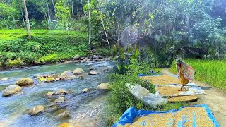 MASYA ALLAH TIDAK DI SANGKA😍 Seenak Ini Datang Ke Kampung Yang Indah Pemandangan Alam Desanya [upl. by Ashlin343]