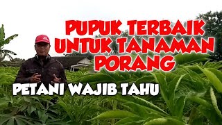 PUPUK YANG BAIK UNTUK TANAMAN PORANG [upl. by Natsirhc894]