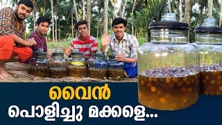 Gooseberry Wine Making  How to Make Gooseberry Wine Malayalam  Cousins Cooking [upl. by Arreyt]