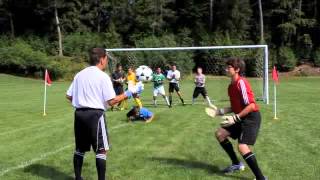 Soccer Goalie Drills  Catch attack the ball grass cutter [upl. by Naie841]