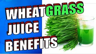 14 Health Benefits of Drinking Wheatgrass Juice Including Cancer Weight Loss amp Hair [upl. by Gaidano60]