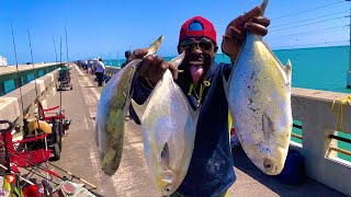 Floridas MOST EXPENSIVE Fish  Florida Pompano LIMITED OUT [upl. by Namar]