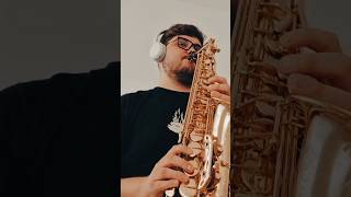 Andrei David  Neprihanita dragoste shortsvideo selmersaxophone goodmusic blessed musiclife [upl. by Lebar]