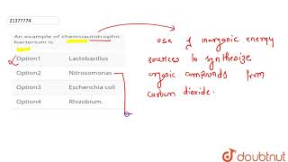 An example of chemoautotrophic bacteriaum is [upl. by Enyak]