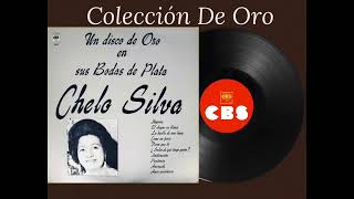 Chelo Silva  Album Completo [upl. by Fredi]