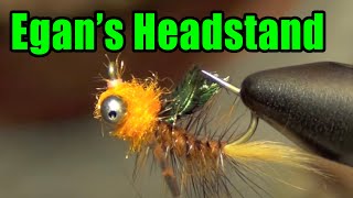 Egans Headstand Carp Fly Tying Instructions  Great For Spooky Carp  Lance Egan Fly Pattern [upl. by Rodie]