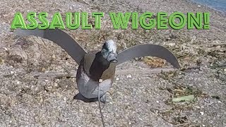 Assault Wigeon [upl. by Obediah]