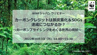 カーボンクレジットは脱炭素化＆SDGs達成につながるか？ ～カーボンプライシングをめぐる世界の現状～ [upl. by Sandye]