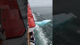 Cruise Ship Collides With Large Piece of Floating Ice [upl. by Siloam]