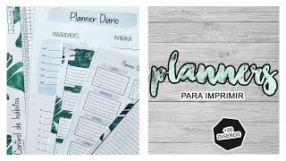 PLANNERS Y ORGANIZADORES GRATIS PARA IMPRIMIR  ORGANIZA TU TIEMPO  TRILCE ARANA [upl. by Lodge958]