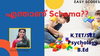 Piagets Cognitive Development Theory Genetic Epistemologyk tet set psychology [upl. by Eimareg969]