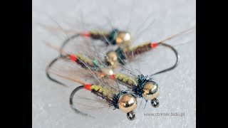 Pheasant tail jig nymph [upl. by Raffaj741]