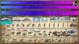 Las Eras Geológicas 5 La Era Cenozoica [upl. by Zetta]