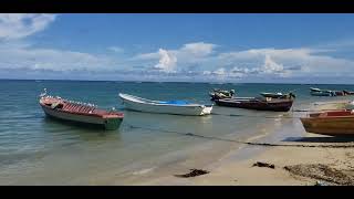 Falmouth Jamaica Fishing 🎣 Village fishing falmouthjamaica village [upl. by Bromleigh]