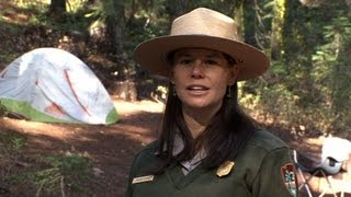 Camping in Yosemite [upl. by Ettelrac868]