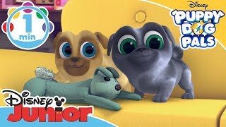 Puppy Dog Pals  Theme Song  Disney Junior UK [upl. by Vevina523]