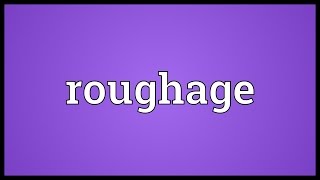 Roughage Meaning [upl. by Amoreta]