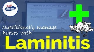 How to nutritionally manage horses with laminitis [upl. by Brendon]