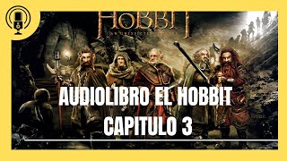 Audiolibro El Hobbit Capitulo 3 [upl. by Yecnay938]