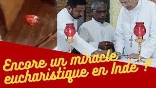 Encore un nouveau miracle eucharistique en Inde [upl. by Eelidnarb529]