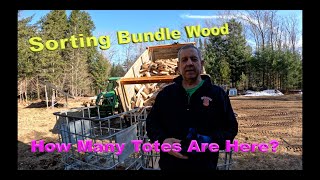 Sorting Bundle Wood From The Dump Trailer woodhound firewood bundlewood [upl. by Aztilay904]