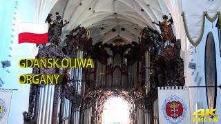 Gdańsk 4K Oliwa koncert organowy 🎥 [upl. by Gibun]