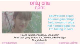 APINK  ONLY ONE MV EASY LYRIC LIRIK INDONESIA [upl. by Tnarud]