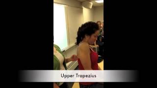 Manual Muscle Test for Upper Trapezius [upl. by Stillmann]