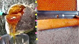 MOST AMAZING HONEYCOMB UNCAPPINGOddly Satisfying ASMR [upl. by Akinuahs]