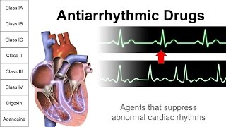 Antiarrhythmic Drugs [upl. by Riva]