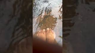 shortvideo fish fishspa spa waterfall chhattisgarh shorts youtubeshorts fishing fishcurry [upl. by Ecirtnahc]