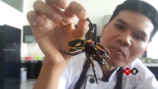 How to Cook Spiders  Cambodian Cooking Class [upl. by Winchester802]