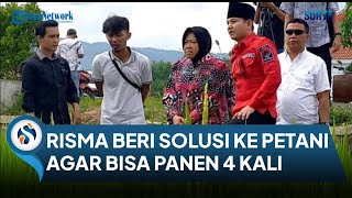 Ke Sawah Temui Petani Trenggalek Risma Beber Solusi Atasi Kekeringan Agar Bisa Panen 4 Kali Setahun [upl. by Luis]