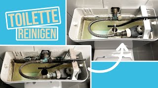 So wird die Toilette richtig sauber  WC Spülkasten entkalken amp unter dem Rand reinigen [upl. by Hanshaw471]