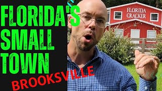 Why Brooksville Florida One of the best places to live in the state and heres why❤️ [upl. by Norrv7]