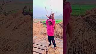 Kheti badi kheti khetibadi shorts viralvideo shortvideo [upl. by Short]