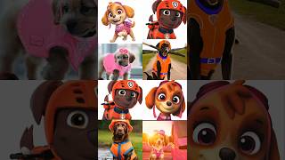 Paw patrol In Real Life pawpatrol [upl. by Najar800]