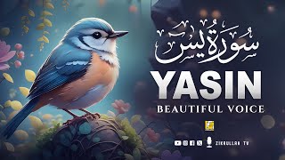 Ramadan Worlds most beautiful Quran recitation of Surah Yasin Yaseen سورة يس  Zikrullah TV [upl. by Phia319]