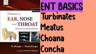 Turbinates  Meatus Choana  Concha  Part 1  Nose [upl. by Henriques]