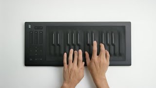 Roli Seaboard RISE 25 Overview [upl. by Dlonra73]