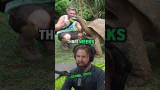 Rescuing a Dehydrated Tortoise Heartwarming Conservation Story with Forrest Galante amp Joe Rogan [upl. by Launamme]