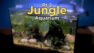 How to Pt 2 I planted up a nano Jungle Aquascape No C02 Walstad Style Aquascape Tutorial [upl. by Duquette523]