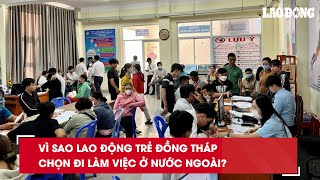 Vì sao lao động trẻ Đồng Tháp chọn đi làm việc ở nước ngoài Báo Lao Động [upl. by Kenleigh]