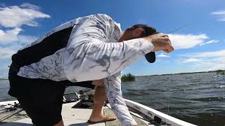 Headwaters lake bass fishing [upl. by Teddman416]