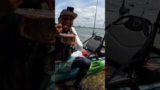 pesca en kayak quottampa bayquot [upl. by Grayson]