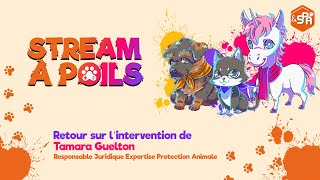 STREAM À POILS  Retour sur lintervention de Tamara Guelton [upl. by Assille]