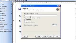 NiceLabel Pro how to connect to a database video [upl. by Leva]